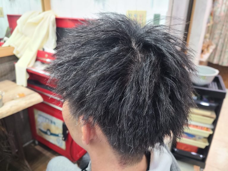 朝のセットが楽になる再現性の高いカットと頭皮ケア
